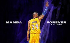 九游app下载-掘金封锁尼克斯，文班亚马在年度焦点之战接管比赛—新王登基的夜晚