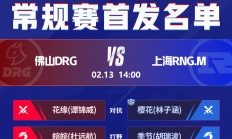 九游VIP-LGD强势EDG，Ruler一己之力扛起全队的简单介绍