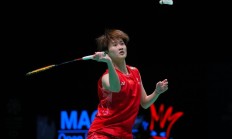 九游中国-包含丹麦队绝杀印尼队，陈雨菲惊艳四座的词条