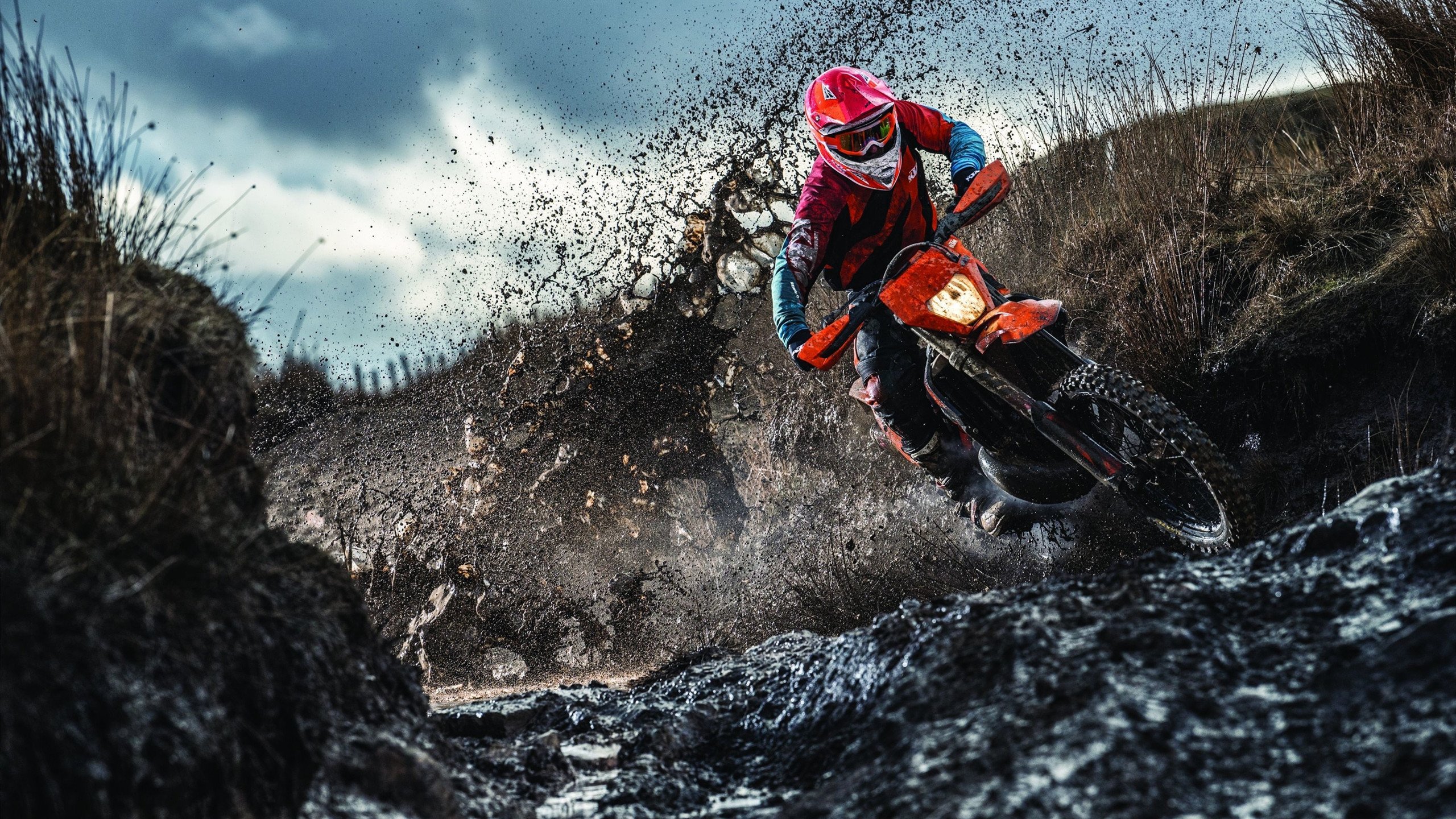 塔图姆贡献制胜表现,北京队打穿老鹰